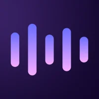 Voice Command, Setup Assistant