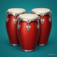 Percussion instruments: drums